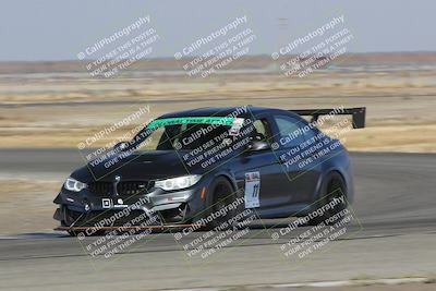 media/Nov-11-2023-GTA Finals Buttonwillow (Sat) [[117180e161]]/Group 2/Close Ups/